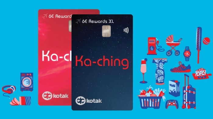 Perks and Privileges: Unpacking Indigo Card Benefits