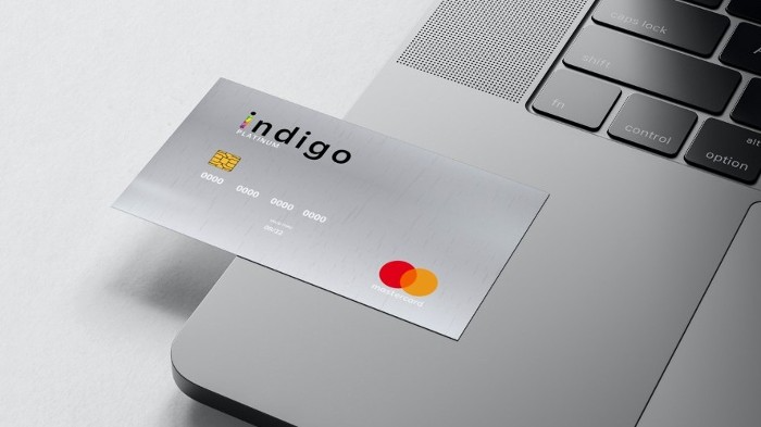 Pros and Cons: Evaluating the Indigo Credit Card