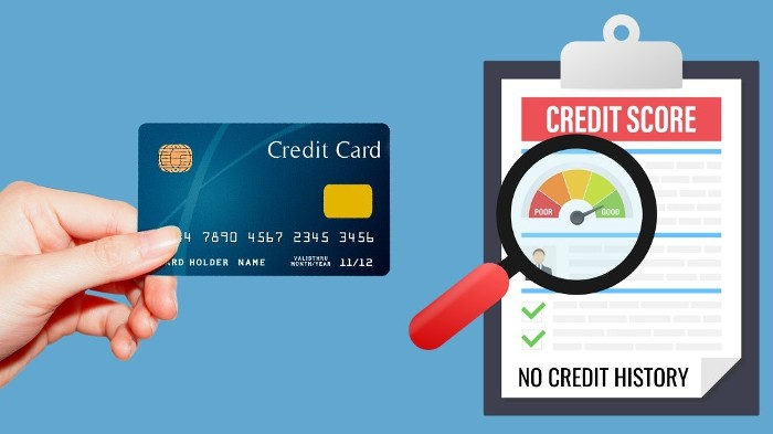 Starting Strong: Your Initial Credit Limit with the Indigo Card